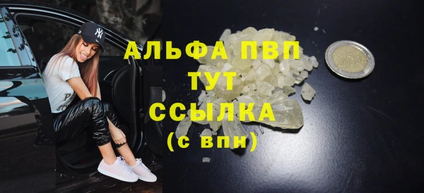 скорость Каменка