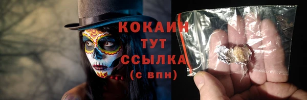 скорость Каменка