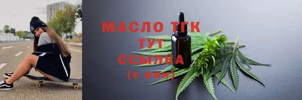скорость Каменка