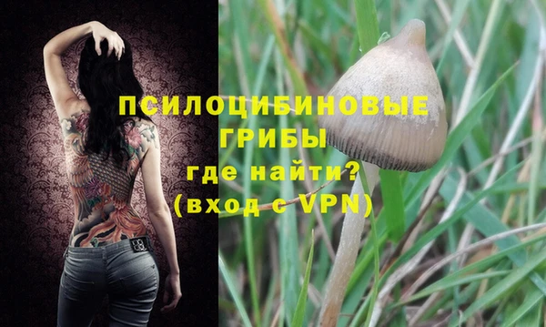 гашик Иннополис