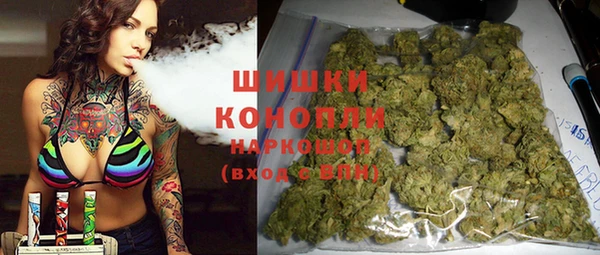 скорость Каменка