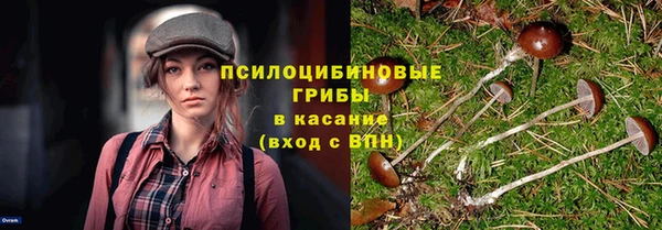 скорость Каменка