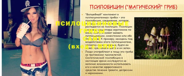скорость Каменка