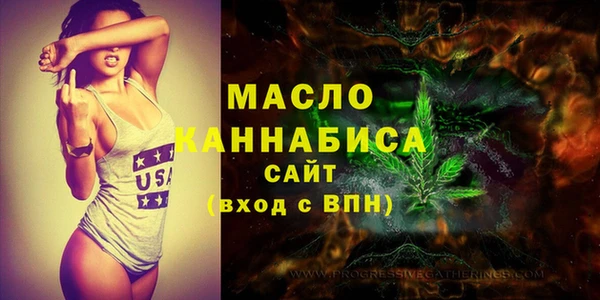 скорость Каменка