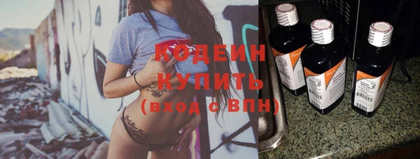 скорость Каменка